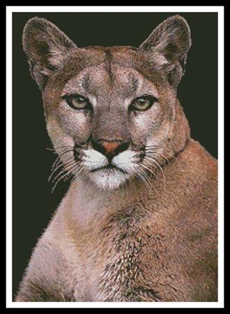 click here to view larger image of Cougar (chart)
