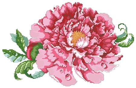 click here to view larger image of Luscious Tree Peony (chart)