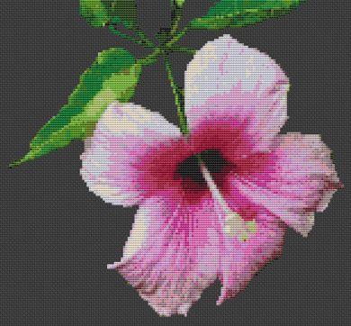 click here to view larger image of Pink Hibiscus (chart)