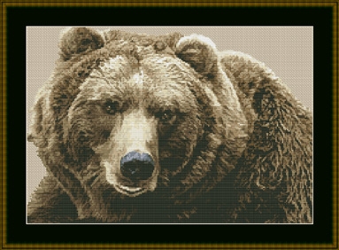 click here to view larger image of Brown Bear (chart)