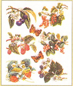 click here to view larger image of Fruit 6 Designs (counted cross stitch kit)