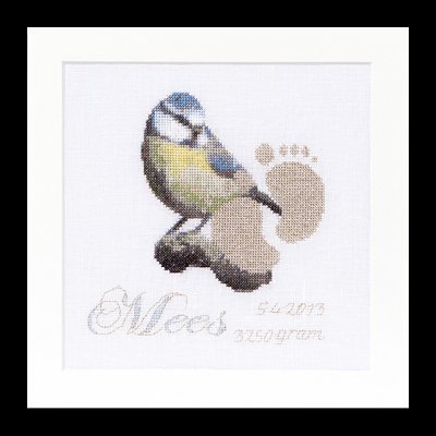 click here to view larger image of Birth Sampler - Mees - Aida (counted cross stitch kit)