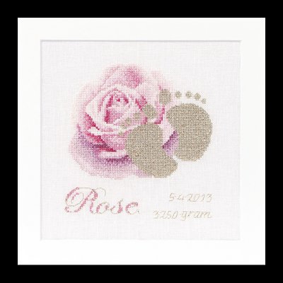 click here to view larger image of Birth Sampler - Rose - Aida (counted cross stitch kit)
