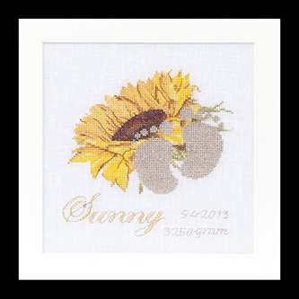 click here to view larger image of Birth Sampler - Sunny - 18ct (counted cross stitch kit)