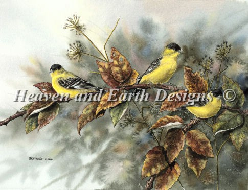 click here to view larger image of Gold Finches (chart)