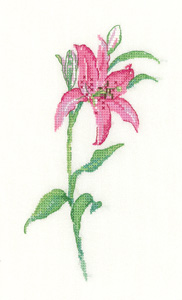 click here to view larger image of Pink Lily - Sue Hill Flowers (Aida) (counted cross stitch kit)