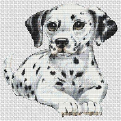 click here to view larger image of Dalmation Puppy (chart)