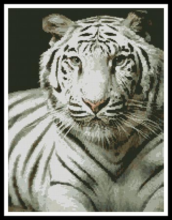 click here to view larger image of White Tiger (chart)