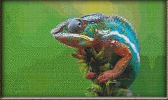 click here to view larger image of Bright Chameleon (chart)