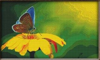 click here to view larger image of Blue Butterfly on Yellow Flowers (chart)