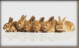 click here to view larger image of Row of Bunnies (chart)