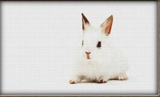 click here to view larger image of Cute White Bunny (chart)