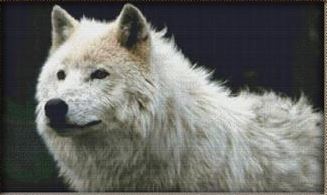 click here to view larger image of Husky White Wolf (chart)
