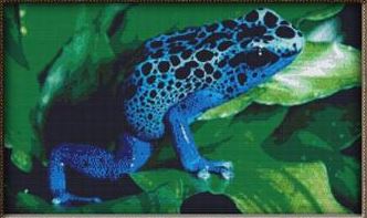 click here to view larger image of Blue Tree Frog (chart)
