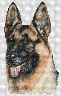 click here to view larger image of German Shepherd (chart)