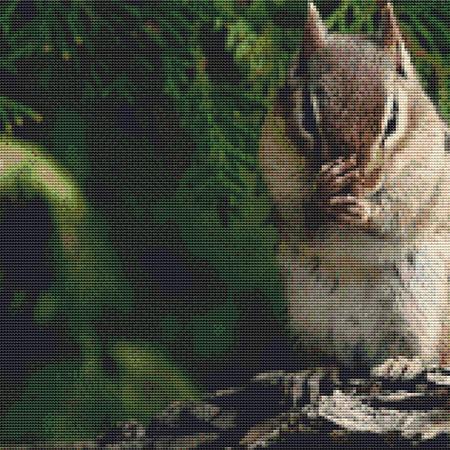 click here to view larger image of Cute Munching Chipmunk (chart)