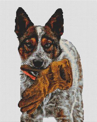 click here to view larger image of Frankie The Australian Cattle Dog (chart)