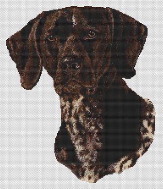 click here to view larger image of German Shortaired Pointer (chart)