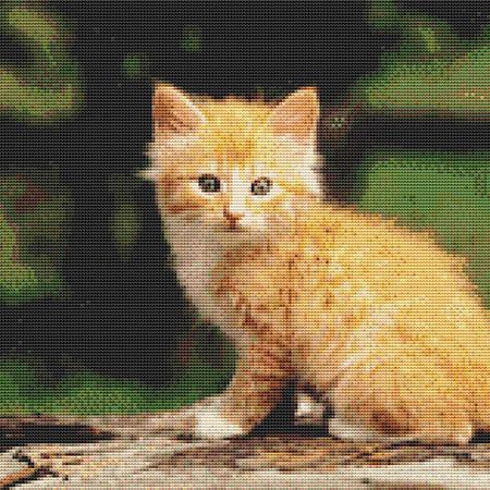 click here to view larger image of Curious Yellow Kitten (chart)