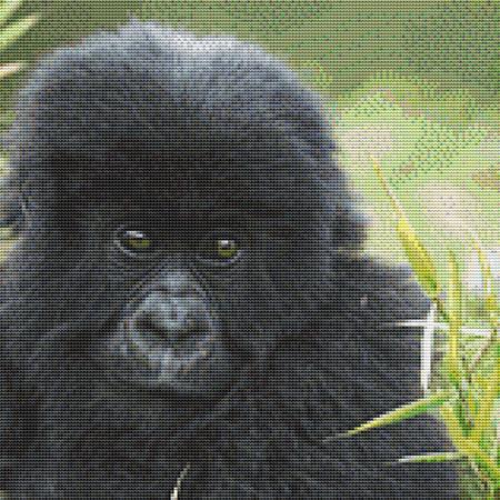 click here to view larger image of Cute Baby Gorilla (chart)