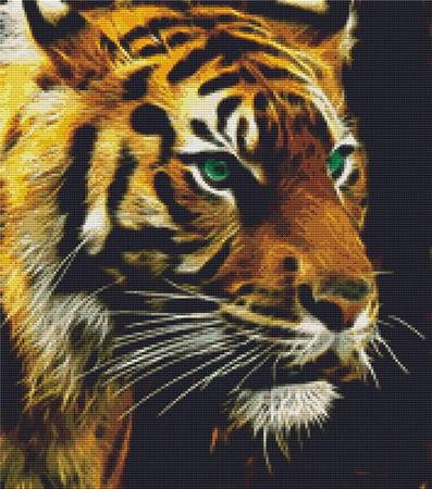 click here to view larger image of Green Eyed Tiger (chart)