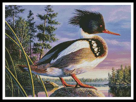 click here to view larger image of Red-Breasted Merganser  (Kim Norlien) (chart)
