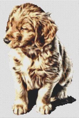 click here to view larger image of Golden Retriever Puppy (chart)