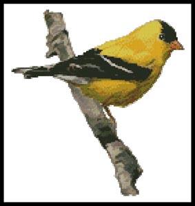 click here to view larger image of American Gold Finch  (Claire Harkness) (chart)