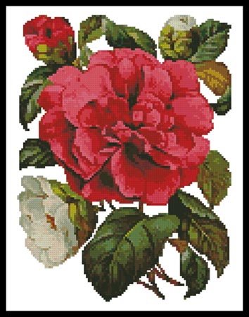 click here to view larger image of Pink Camellia (chart)