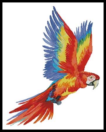 click here to view larger image of Colourful Macaw  (Lena Faenkova) (chart)
