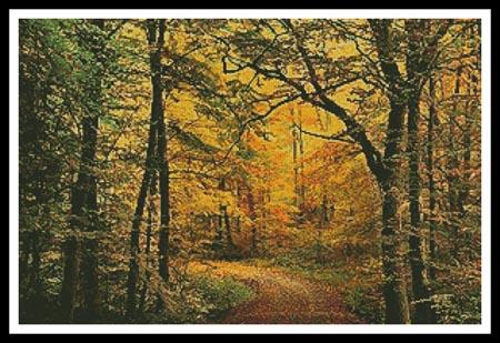 click here to view larger image of Autumn Forest  (Jochen Schlenker) (chart)
