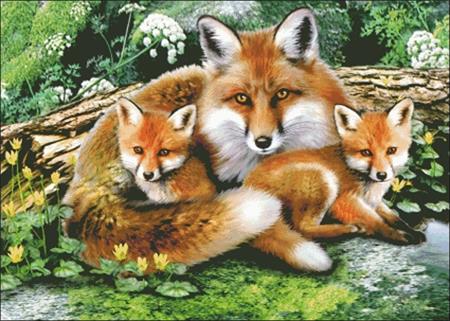 click here to view larger image of Foxes (chart)