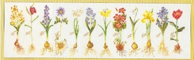 click here to view larger image of Flowers and All (Aida) (counted cross stitch kit)