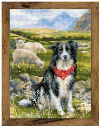 click here to view larger image of Border Collie (hand painted canvas)