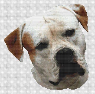 click here to view larger image of American Bulldog (chart)