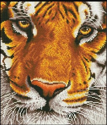 click here to view larger image of Bengal Magic (Diamond Embroidery)