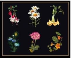 click here to view larger image of Flowers III (Floral Studies 4) - 6 Designs - 18ct Aida Black (counted cross stitch kit)