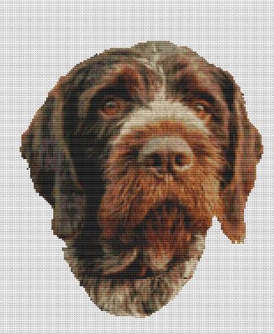 click here to view larger image of German Wirehaired Pionter (chart)
