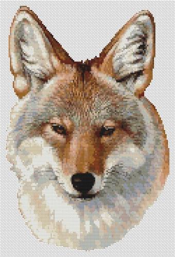click here to view larger image of Coyote Portrait (chart)