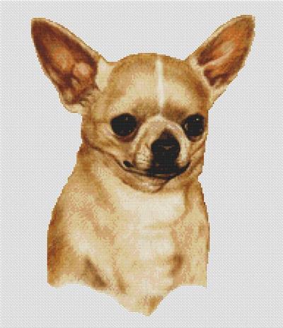 click here to view larger image of Chihuahua (chart)
