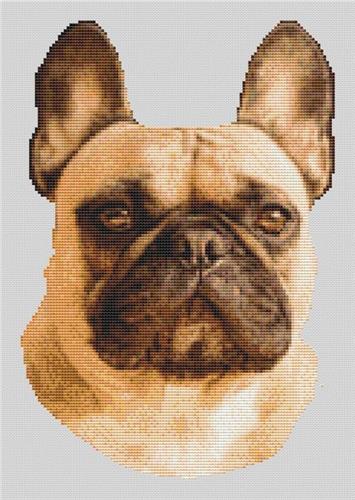 click here to view larger image of Fawn French Bulldog (chart)