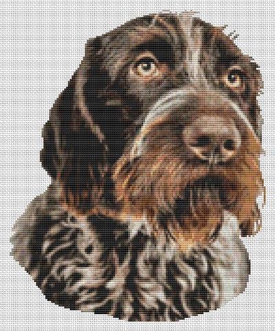 click here to view larger image of German Wirehaired Pointer 2 (chart)