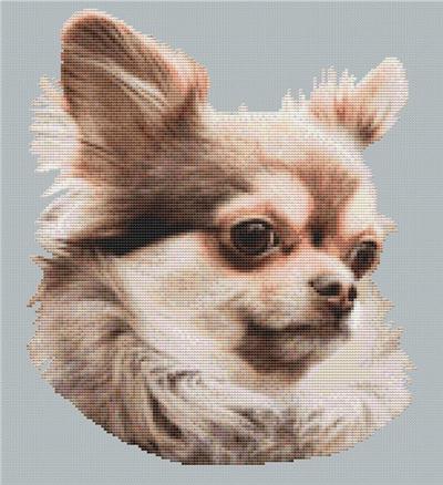 click here to view larger image of Chihuahua 3 (chart)