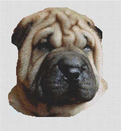 click here to view larger image of Fawn Shar Pei (chart)
