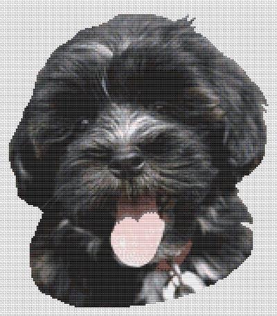 click here to view larger image of Havanese Puppy (chart)