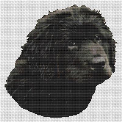 click here to view larger image of Black Newfoundland Puppy (chart)