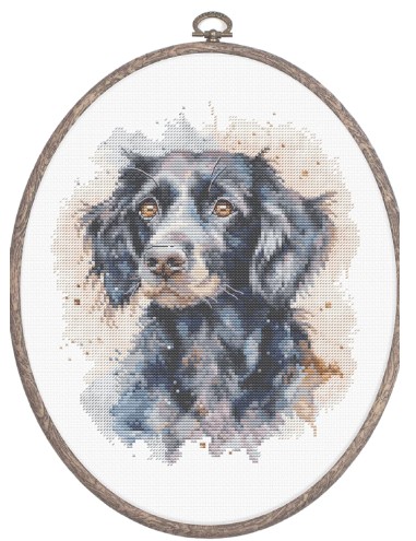 click here to view larger image of Border Collie (counted cross stitch kit)