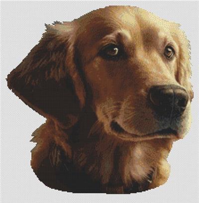 click here to view larger image of Golden Retriever 2 (chart)