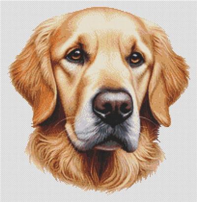 click here to view larger image of Golden Retriever - Ralph (chart)