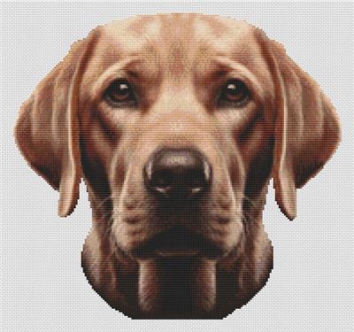 click here to view larger image of Fox Red Labrador Retriever (chart)